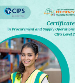 Efficiency Training Institute