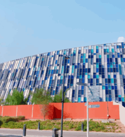 United Arab Emirates University