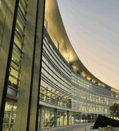 United Arab Emirates University