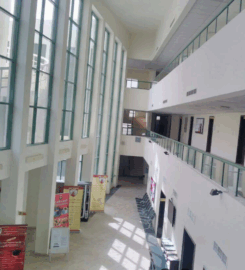 Emirates College for Management & Information Technology,